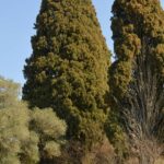 Uno Scorcio di Toscana