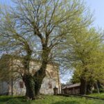 Il Rifugio Antiaereo