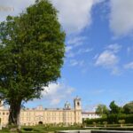 La Signora del Giardino