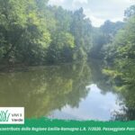 Nel Cuore Verde dei Boschi di Carrega - Lago di Ponte Verde