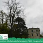 Nel Cuore Verde dei Boschi di Carrega - Quercia e Frassino