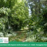 Nel Cuore Verde dei Boschi di Carrega - Bosco e Querceto