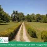 Nel Cuore Verde dei Boschi di Carrega - Sentiero nel verde