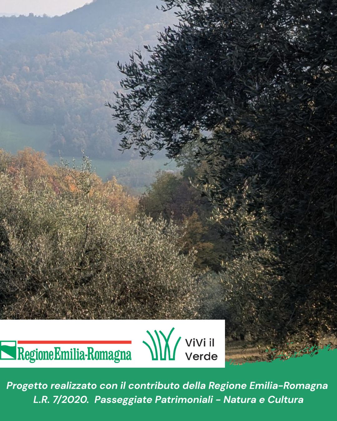 EPISODIO 4 - Gli olivi