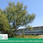 Pedalando tra i Giganti Verdi di Parma - Ponte delle Nazioni