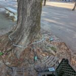 Pedalando tra i Giganti Verdi di Parma - Stradone Martiri della Libertà