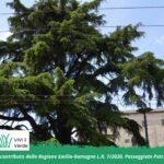 Pedalando tra i Giganti Verdi di Parma - Piazzale della Pace