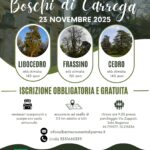 Nel Cuore Verde dei Boschi di Carrega - Locandina