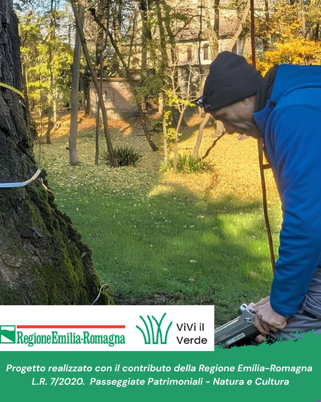 EPISODIO 2 - Come si cura un albero monumentale